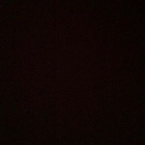 Meet your Posher, Amya